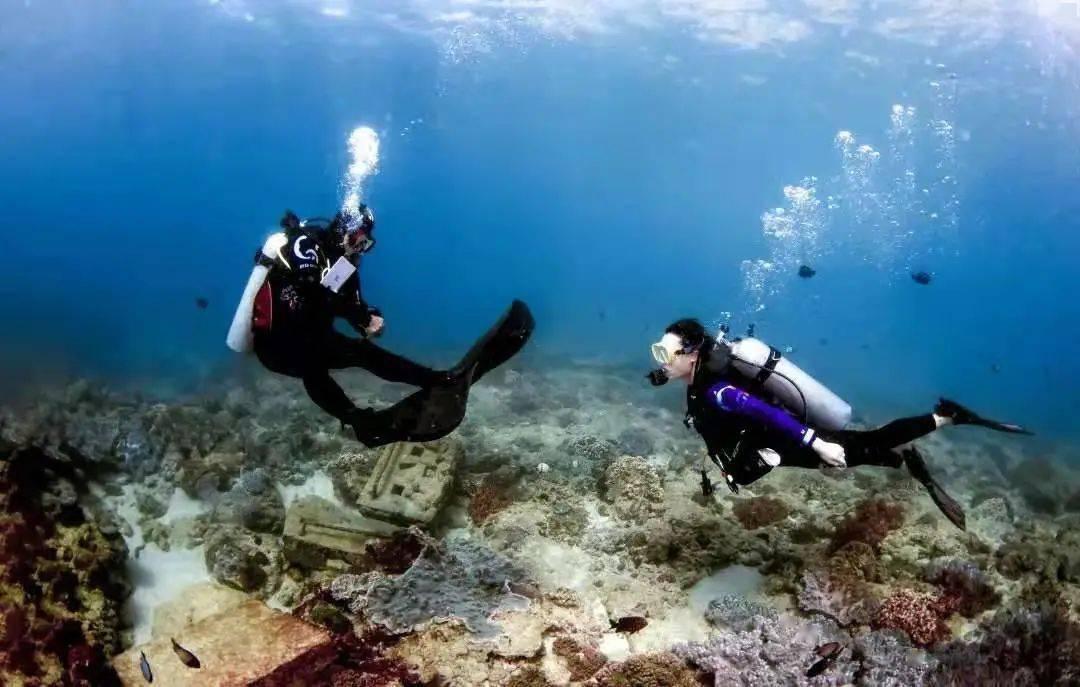 海盗寻宝记选关版
